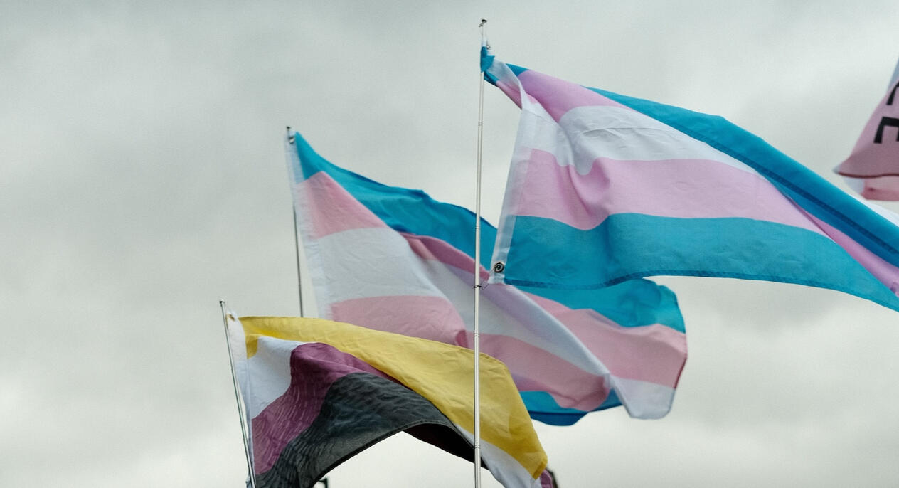 Trans Pride flags flying high